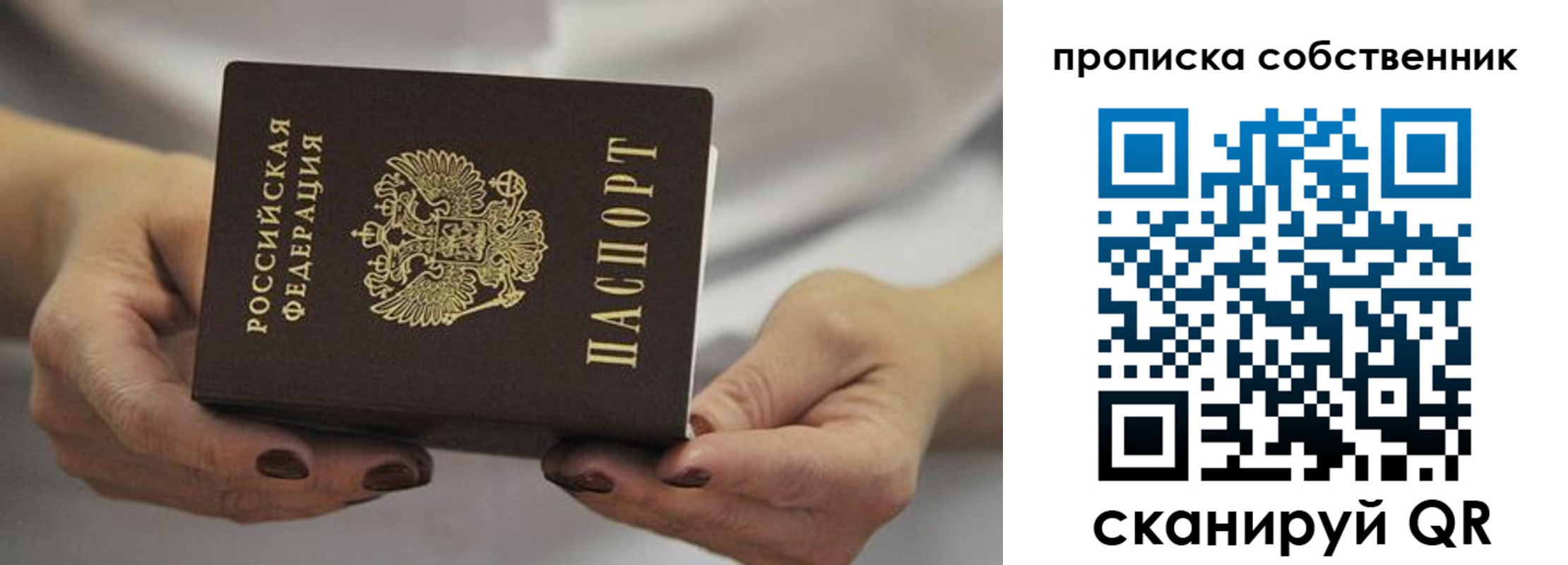 прописка поиск в Котово